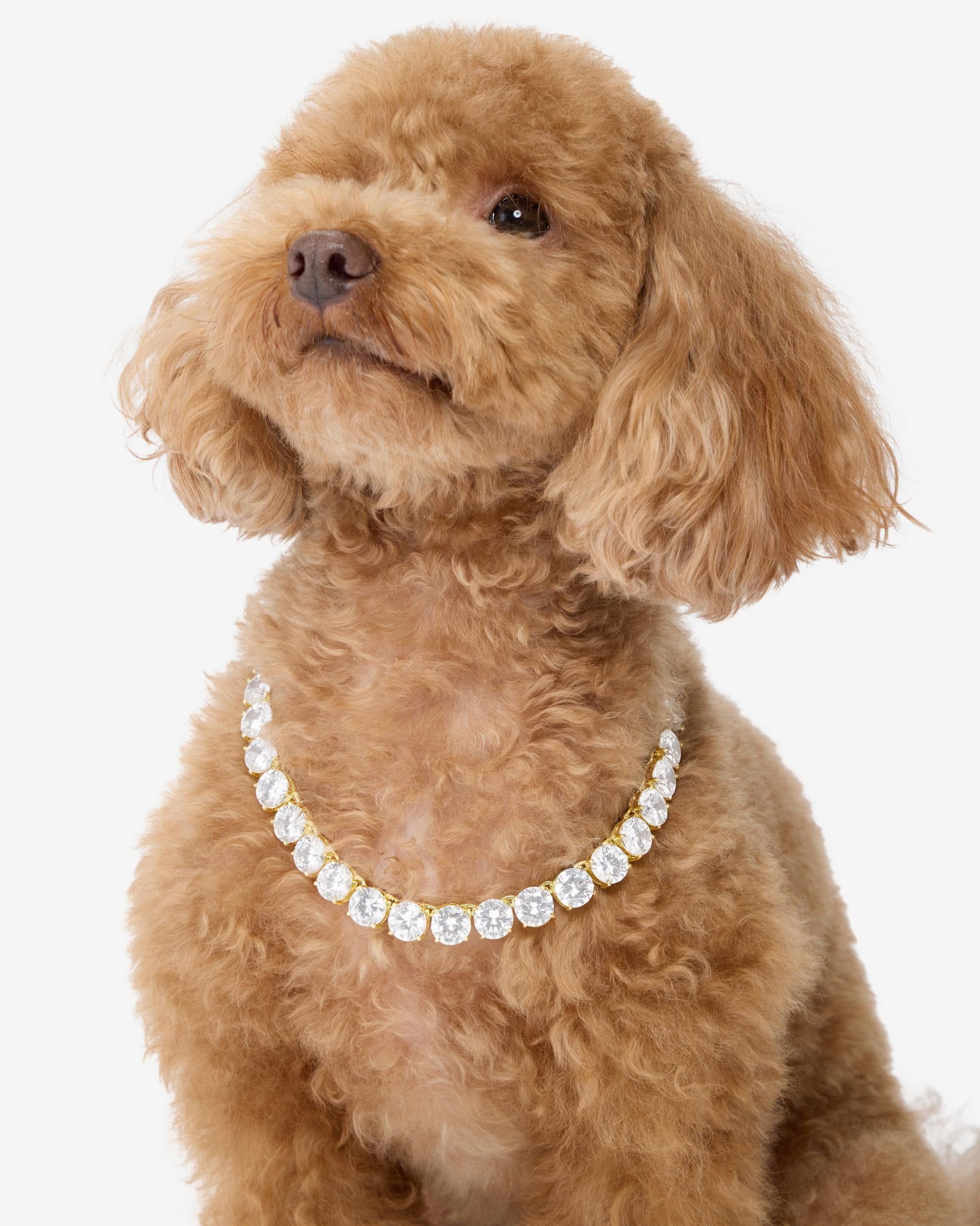 Royal Pet Tennis Necklace - Gold|White Diamondettes